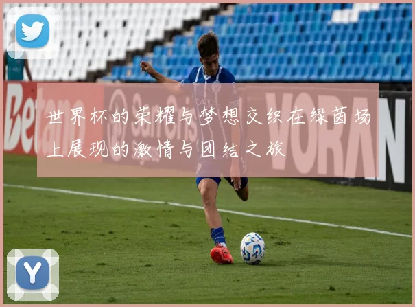 世界杯的荣耀与梦想交织在绿茵场上展现的激情与团结之旅