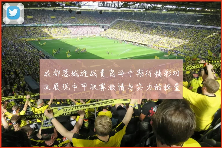 成都蓉城迎战青岛海牛期待精彩对决展现中甲联赛激情与实力的较量