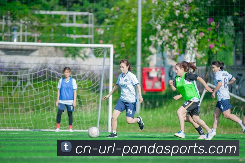 App Interface Preview