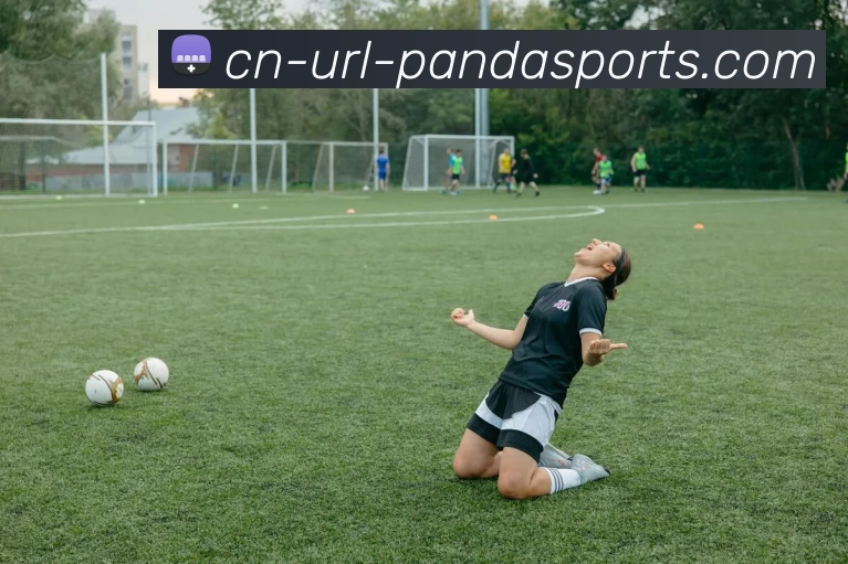 熊猫体官网APP 封面图